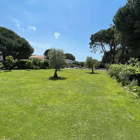 Le 36 Piscine & Guest house La Flotte